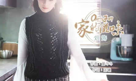 Feeling of Home家的滋味(Jia De Zi Wei) Ode to Joy 2 OST By Tamia Liu Tao刘涛