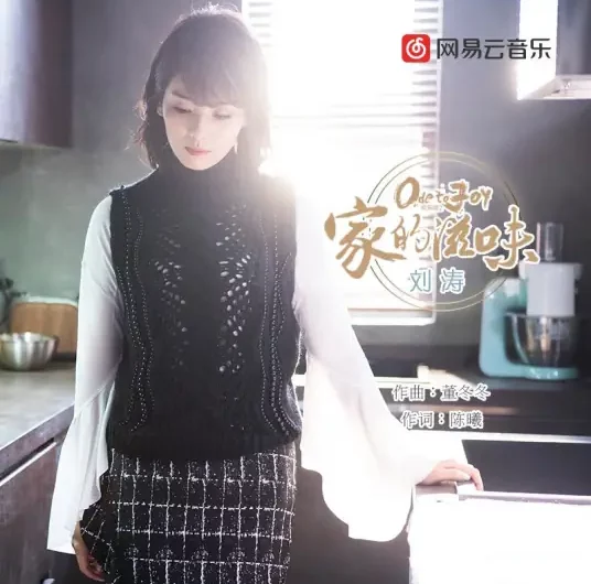 Feeling of Home家的滋味(Jia De Zi Wei) Ode to Joy 2 OST By Tamia Liu Tao刘涛