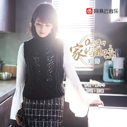 Feeling of Home家的滋味(Jia De Zi Wei) Ode to Joy 2 OST By Tamia Liu Tao刘涛