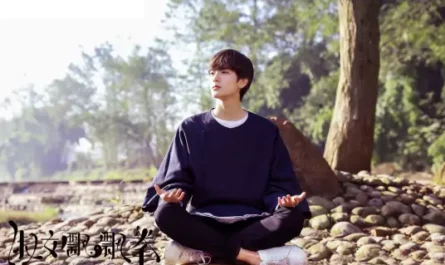 Wholeheartedly With Fist拳心拳意(Quan Xin Quan Yi) Sweet Tai Chi OST By Bi Wenjun毕雯珺