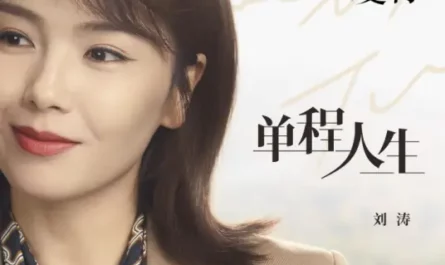 One Way Life单程人生(Dan Cheng Ren Sheng) Love Is True OST By Tamia Liu Tao刘涛