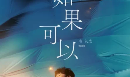 If Only如果可以(Ru Guo Ke Yi) Till We Meet Again OST By WeiBird韦礼安