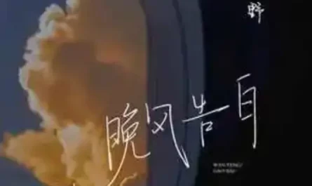 Confession in the Evening Breeze晚风告白(Wan Feng Gao Bai) By Xing Ye星野