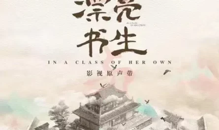 Youths Have Dreams少年有梦(Shao Nian You Meng) In a Class of Her Own OST By Li Zhenning李振宁 & Yao Mingming姚明明(姚柏南) & Guan Yue管栎