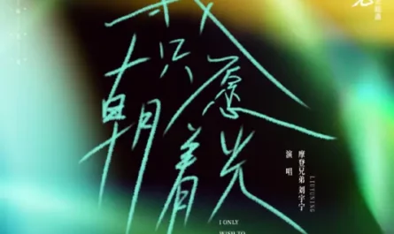 I Only Wish To Face The Light我只愿朝着光(Wo Zhi Yuan Chao Zhe Guang) Be Your Own Light OST By Liu Yuning刘宇宁