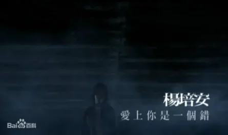 Falling in Love with You Was a Mistake爱上你是一个错(Ai Shang Ni Shi Yi Ge Cuo) By Roger Yang Pei-an杨培安