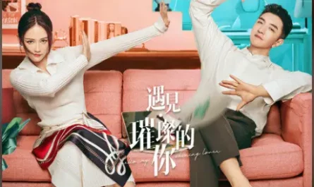 Big Woman大女人(Da Nv Ren) Hello My Shining Love OST By Chen Youwei陈宥维