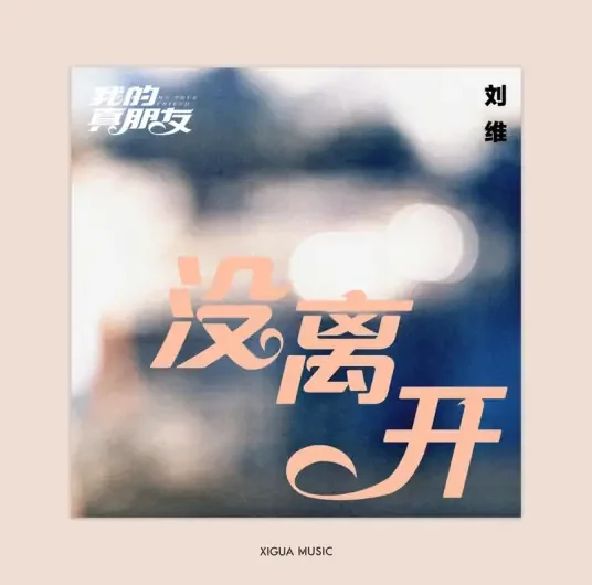 Never Left没离开(Mei Li Kai) My True Friend OST By Julius Liu Wei刘维