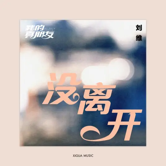 Never Left没离开(Mei Li Kai) My True Friend OST By Julius Liu Wei刘维