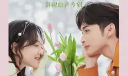 Meteor In My Heart心里的流星(Xin Li De Liu Xing) Here We Meet Again OST By Where Chou周蕙 & Shi Yang石杨