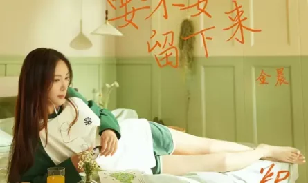 Want To Stay?要不要留下来(Yao Bu Yao Liu Xia Lai) Falling Into You OST By Gina Jin Chen金晨