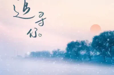 Looking For You追寻你(Zhui Xun Ni) By Fenella Wang Tiange王天戈 & Chuan Qing川青