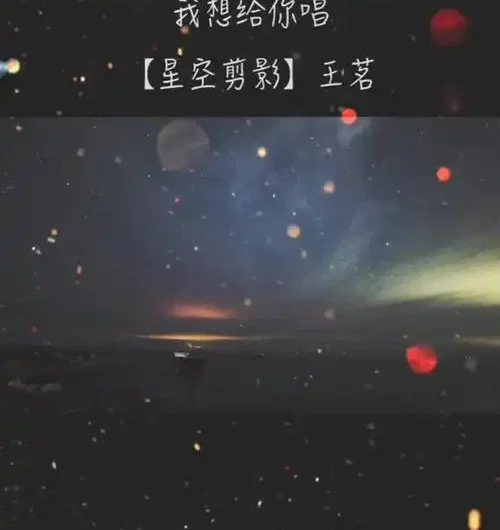 Starry Sky Silhouette星空剪影(Xing Kong Jian Ying) By Wang Ming王茗