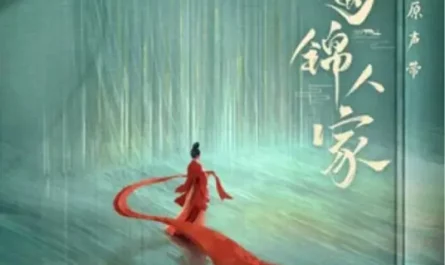 Heart’s Brocade心上锦(Xin Shang Jin) Brocade Odyssey OST By Zhao Bei Er赵贝尔