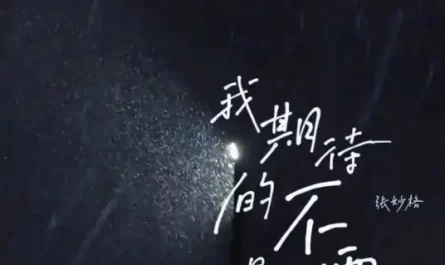 What I Anticipate Is Not Snow我期待的不是雪(Wo Qi Dai De Bu Shi Xue) By Zhang Miaoge张妙格