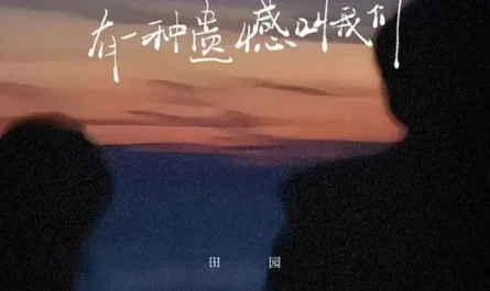 A Kind of Regret Called Us有一种遗憾叫我们(You Yi Zong Yi Han Jiao Wo Men) By Tian Yuan田园