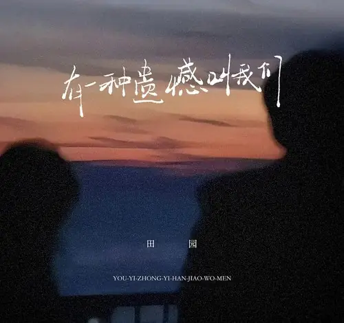 A Kind of Regret Called Us有一种遗憾叫我们(You Yi Zong Yi Han Jiao Wo Men) By Tian Yuan田园