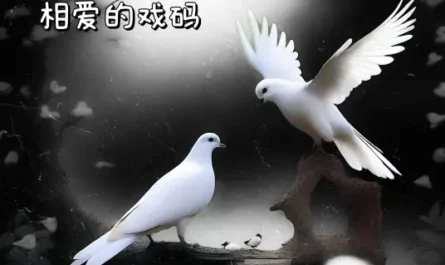 The Scene of White Dave and Crow Falling in Love白鸽乌鸦相爱的戏码(Bai Ge Wu Ya Xiang Ai De Xi Ma) By Pan Cheng潘成(皮卡潘)