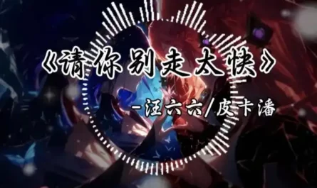 My Heart Move Move请你别走太快(Qing Ni Bie Zou Tai Kuai) By Wang Liuliu汪六六 & Pan Cheng潘成(皮卡潘)