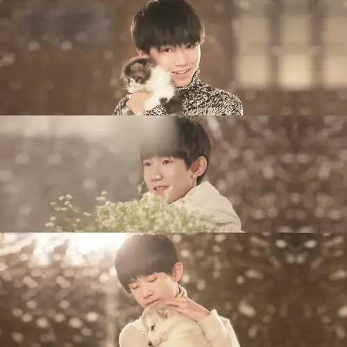 YOUNG样(Yang) A Love for Separation OST By TFBOYS