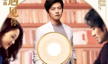 Waiting to Meet You等我遇见你(Deng Wo Yu Jian Ni) Finding Mr. Right 2: Book of Love OST By Li Jian李健