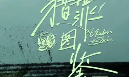 Whirlpool漩涡(Xuan Wo) Under the Skin Season 2 OST By Zhou Yanchen周彦辰