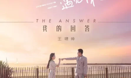 The Answer我的回答(Wo De Hui Da) Everyone Wants to Meet You OST By Essay Wang Xiaokun王啸坤