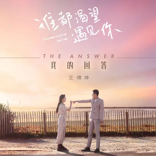 The Answer我的回答(Wo De Hui Da) Everyone Wants to Meet You OST By Essay Wang Xiaokun王啸坤