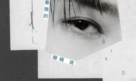 Look Into My Eyes and Say It看着我的眼睛说(Kan Zhe Wo De Yan Jing Shuo) By Zhang Yuan张远