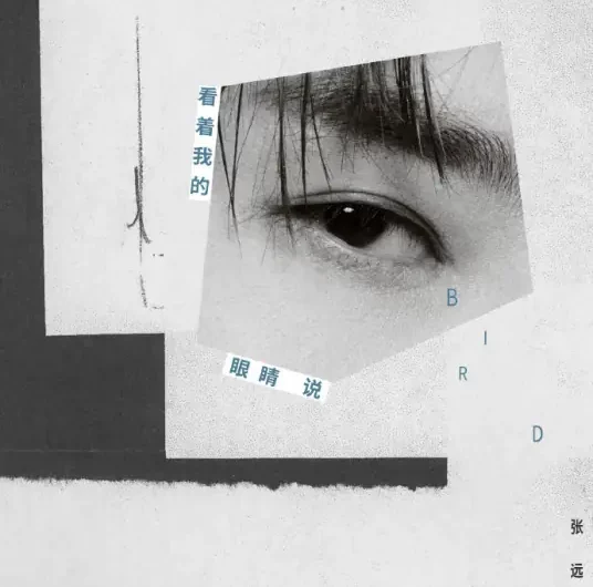Look Into My Eyes and Say It看着我的眼睛说(Kan Zhe Wo De Yan Jing Shuo) By Zhang Yuan张远
