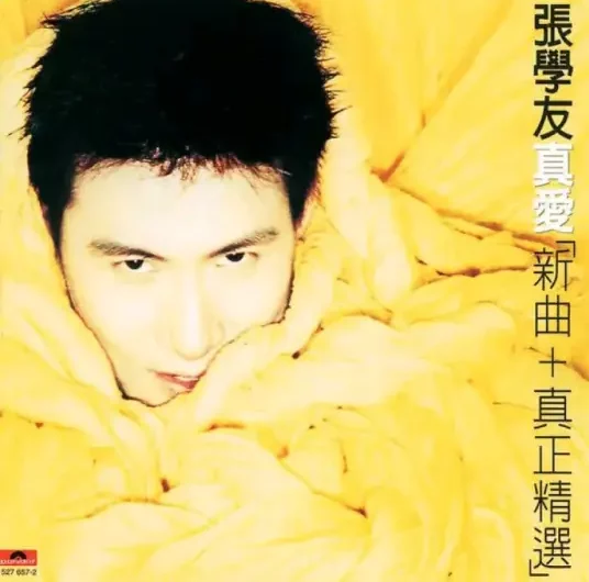 A Thousand Reasons to Be Sad一千个伤心的理由(Yi Qian Ge Shang Xin De Li You) By Jacky Cheung张学友