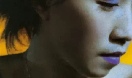 Rain Butterfly雨蝶(Yu Die) Princess Pearl OST By Lee E-jun李翊君
