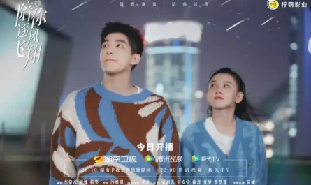 Right Now (To Fly With You OST) By Win Wei Xun魏巡