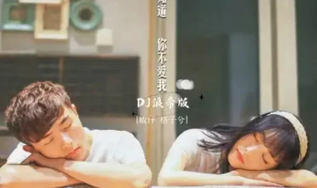 I Know You Don't Love Me我知道你不爱我(Wo Zhi Dao Ni Bu Ai Wo) By Vai威仔 & Ge Zi Xi格子兮