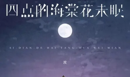The Begonias Lie Awake at Four Am四点的海棠花未眠(Si Dian De Hai Tang Hua Wei Mian) By Du渡(Duby钟棋煜)