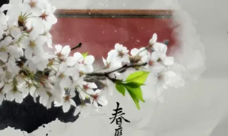 Spring Courtyard Snow春庭雪(Chun Ting Xue) By Cheng Yi橙翼