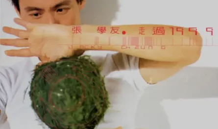 She Came to My Concert她来听我的演唱会(Ta Lai Ting Wo De Yan Chang Hui) By Jacky Cheung张学友