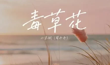 Poisonous Weed Flower毒草花(Du Cao Hua) By Xiao Liang De小梁的(梁思琪)