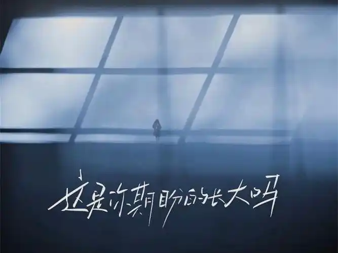 Is This The Adulthood You Longed For这是你期盼的长大吗(Zhe Shi Ni Qi Pan De Zhang Da Ma) By DanieL张齐山
