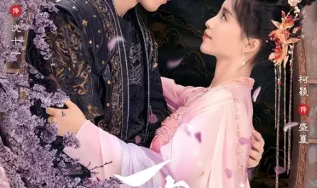 Falling下坠(Xia Zhui) Supervisor Husband OST By Shi Tou石头