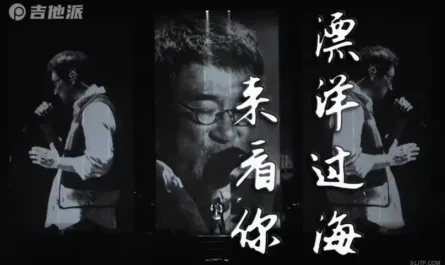 Across The Ocean To See You漂洋过海来看你(Piao Yang Guo Lai Lai Kan Ni) By Jonathan Lee李宗盛 & WaWa娃娃(金智娟)