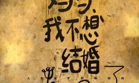Mom, I Don't Want to Get Married妈我不想结婚了(Ma Wo Bu Xiang Jie Hun Le) By A Yan阿言