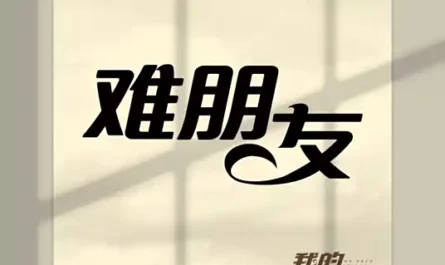 Trouble Buddy难朋友(Nan Peng You) My True Friend OST By ALL IN男团