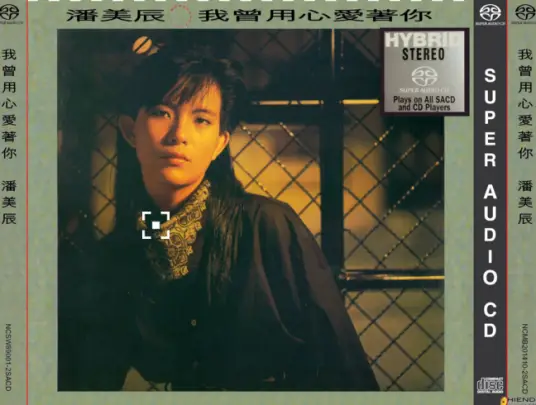 I Once Loved You with All My Heart我曾用心爱着你(Wo Ceng Yong Xin Ai Zhe Ni) By Pan Mei Chen潘美辰