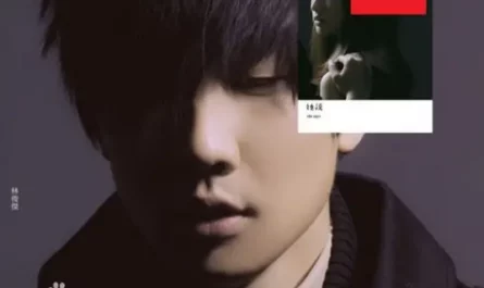 When You当你(Dang Ni) By Cyndi Wang王心凌 & JJ Lin林俊杰