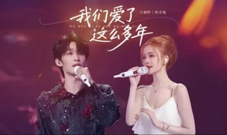 The Years We Had Loved我们爱了这么多年(Wo Men Ai Le Zhe Me Duo Nian) By Wang Heye王赫野 & Krystal Chen Zhuoxuan陈卓璇