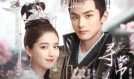 Letting Go断舍离(Duan She Li) Fake Princess OST By CC Wang汪晨蕊