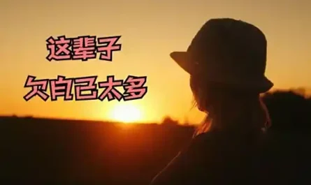 This Life Owes Myself Too Much这辈子欠自己太多(Zhe Bei Zi Qian Zi Ji Tai Duo) By Li Fafa李发发