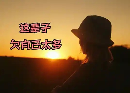 This Life Owes Myself Too Much这辈子欠自己太多(Zhe Bei Zi Qian Zi Ji Tai Duo) By Li Fafa李发发
