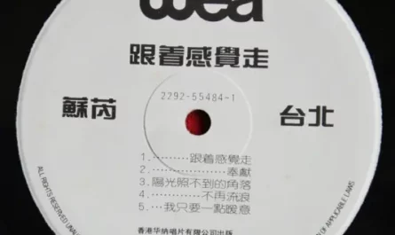 Follow Your Feeling跟着感觉走(Gen Zhe Gan Jue Zou) By Su Rui苏芮